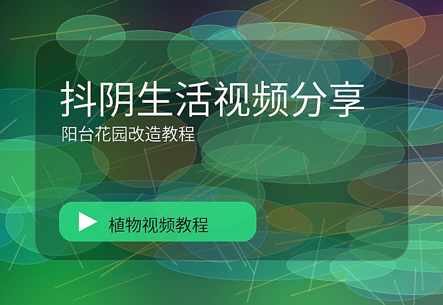 亲缘自然
