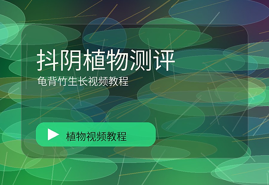 亲缘自然